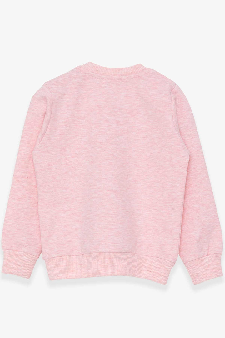 BRE Breeze Girl Child Sweatshirt with Glittery Kitty Print 1.5-5 Years, Salmon Melange - Catania