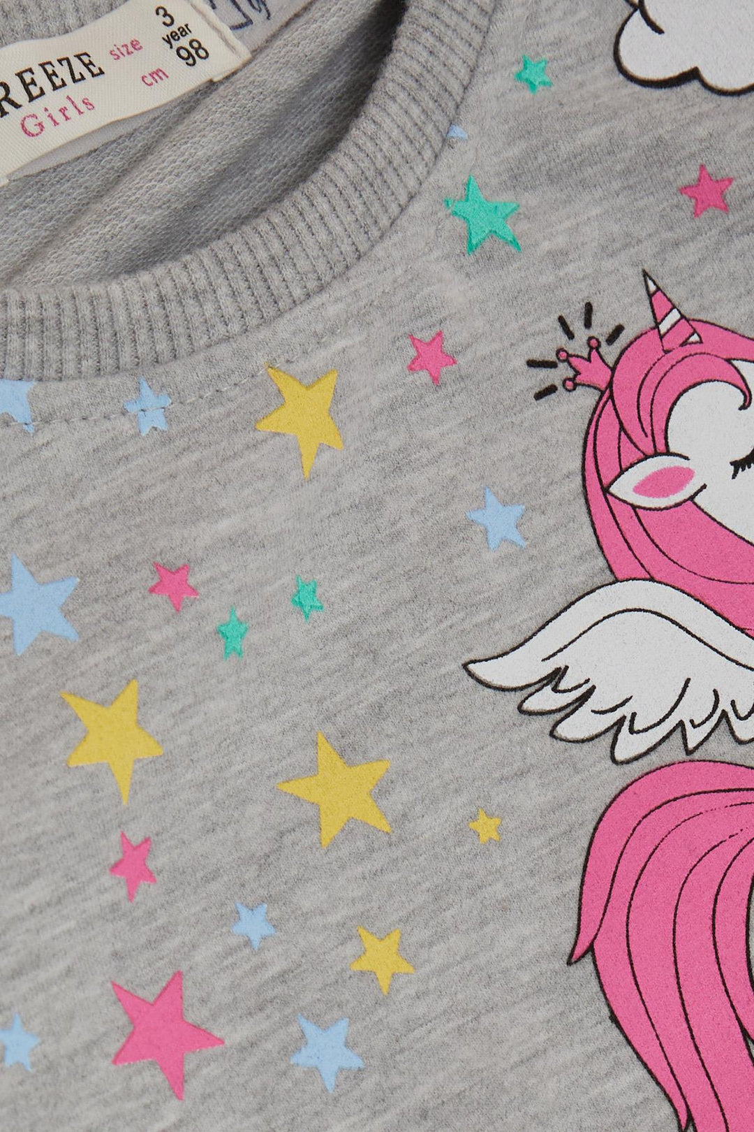 BRE Breeze Girl Child Sweathirt Unicorn Printed 2-6 лет, серый Melange - South Shields