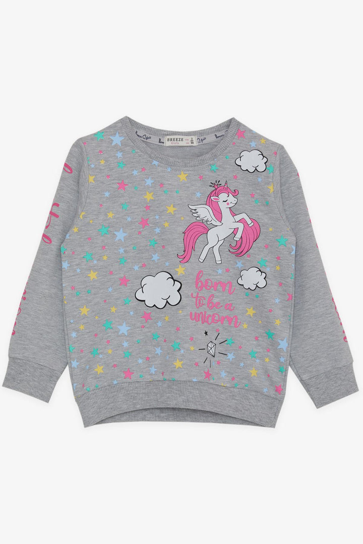 BRE Breeze Girl Child Sweathirt Unicorn Printed 2-6 лет, серый Melange - South Shields