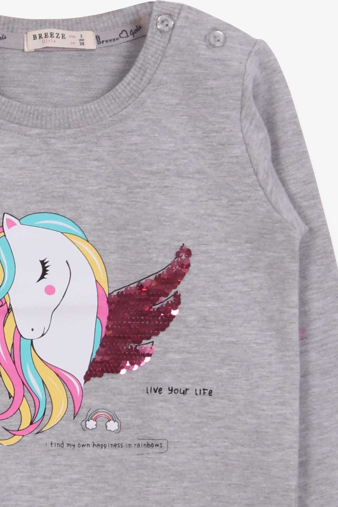 BRE Breeze Girl Child Sweatshirt Unicorn Printed 2-6 Years, Gray Melange - Chatham