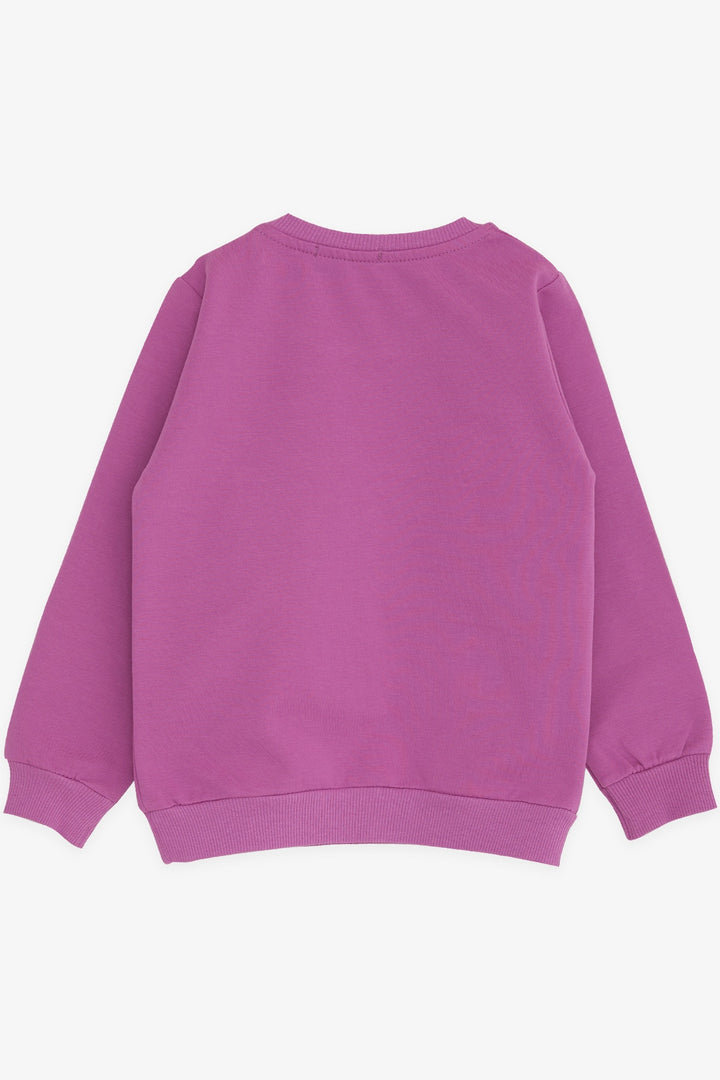 BRE Breeze Girl Child Sweatshirt Unicorn Printed 2-6 лет, Lilac - Lorient