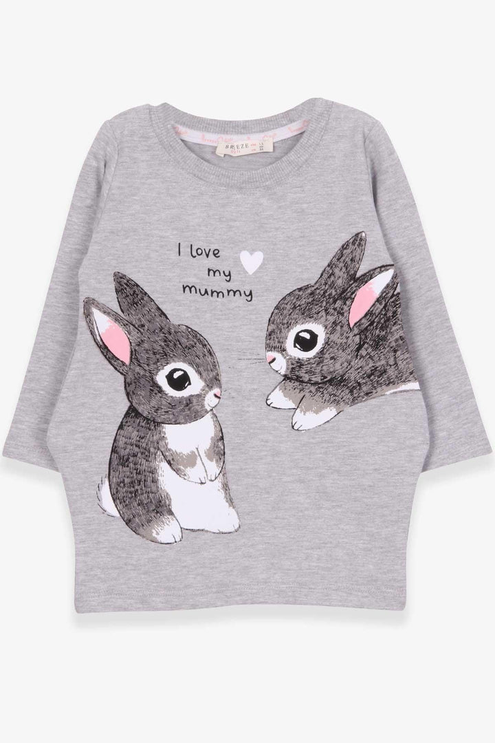 BRE Breeze Girl's Tunic with Rabbit Pattern 1.5-5 Years, Grey Melange - Rocky Mount