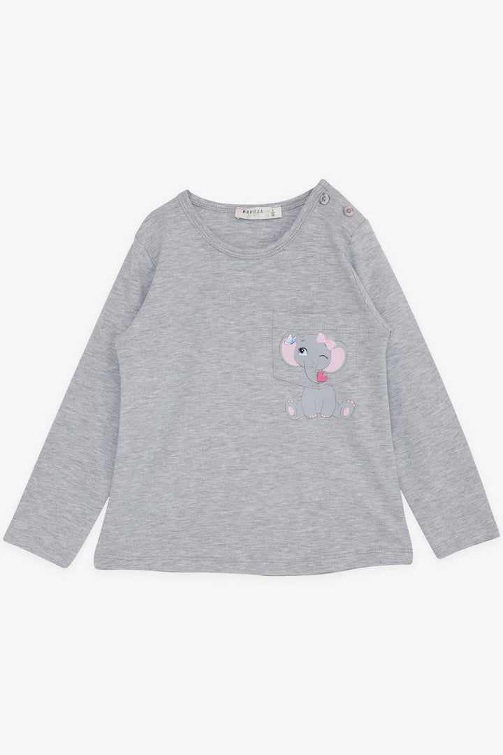 BRE Breeze Girl Child Long Sleeve T-Shirt with Pocket Cute Elephant Printed 1.5-5 Years, Grey Melange - Melitopol