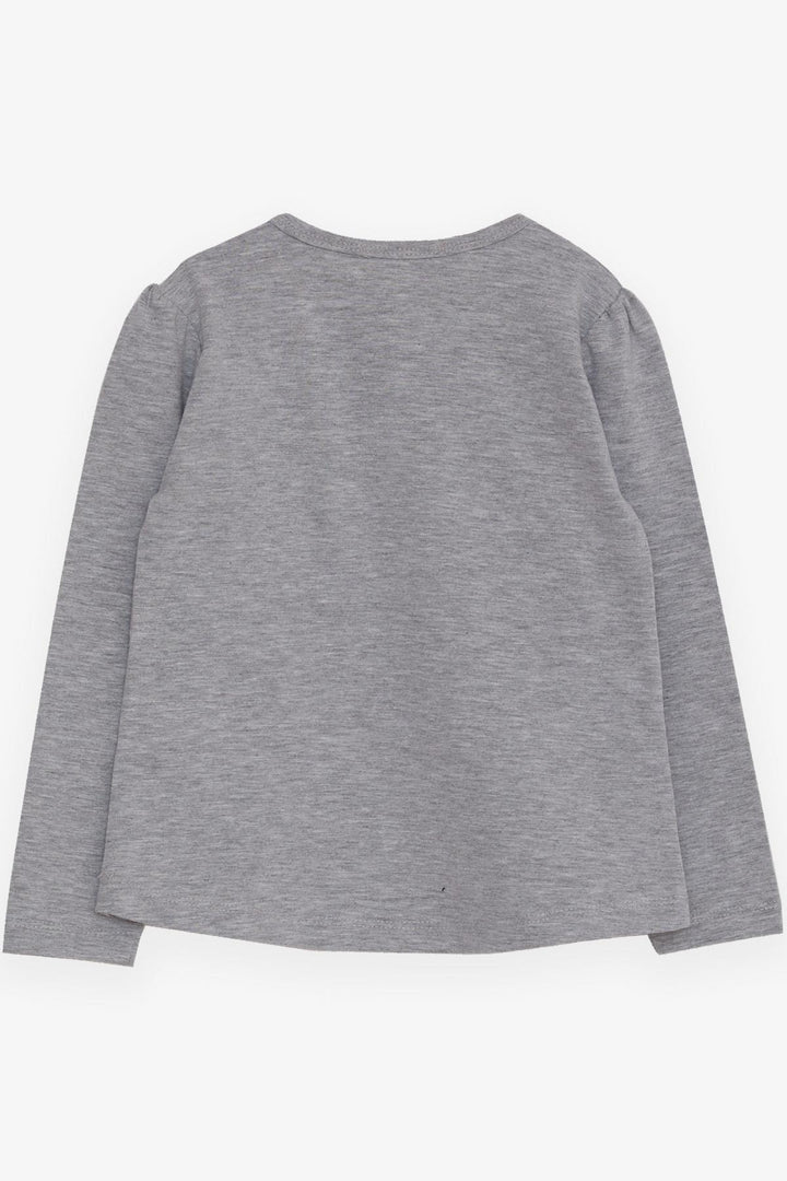 BRE Breeze Girl Child Long Sleeve T-Shirt Cool Girl Printed 1.5-5 Years, Grey Melange - Baldwin Park