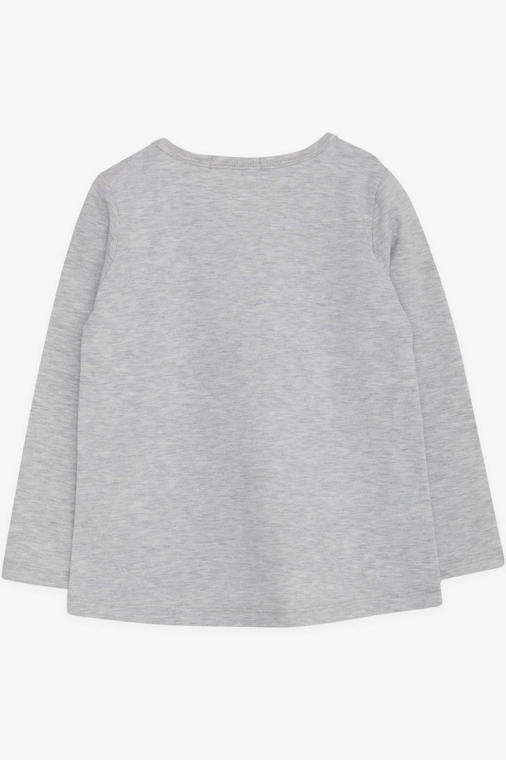 BRE Breeze Girl Child Long Sleeve T-Shirt Sequined Girl Printed 2-6 Years, Light Gray Melange - Cartagena