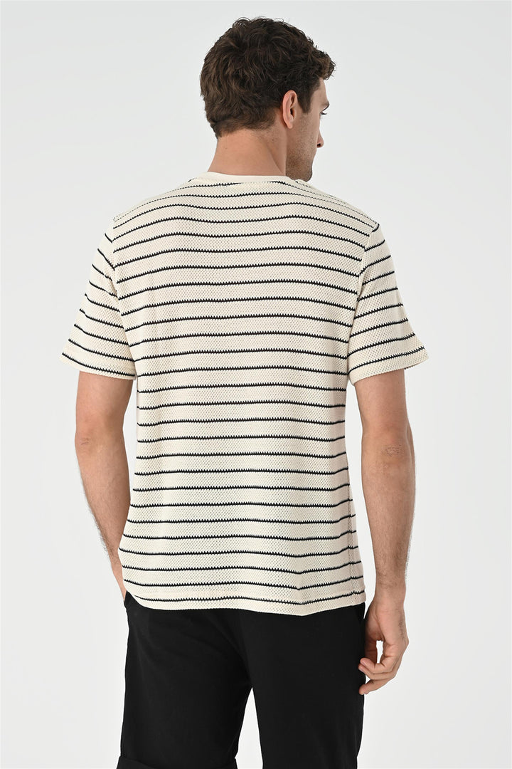 ANT Striped Knitted Men's T-Shirt - Rheda-Wiedenbrück