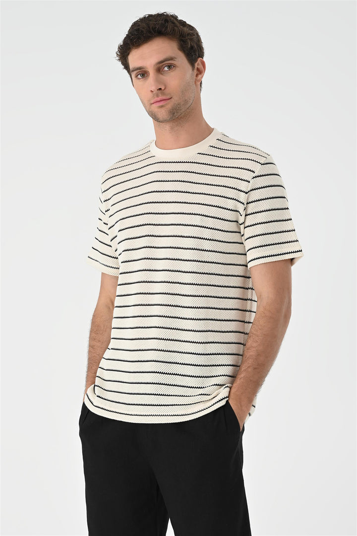 ANT Striped Knitted Men's T-Shirt - Rheda-Wiedenbrück