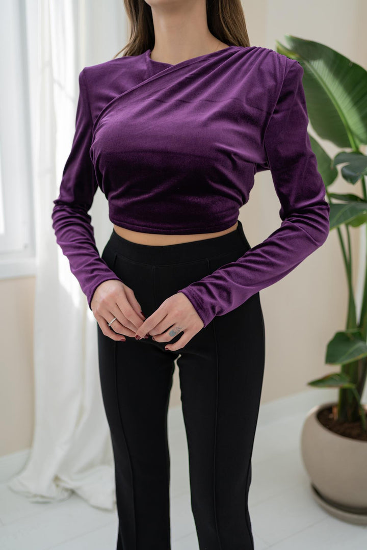 ELS Velvet Blouse - Purple - Normal