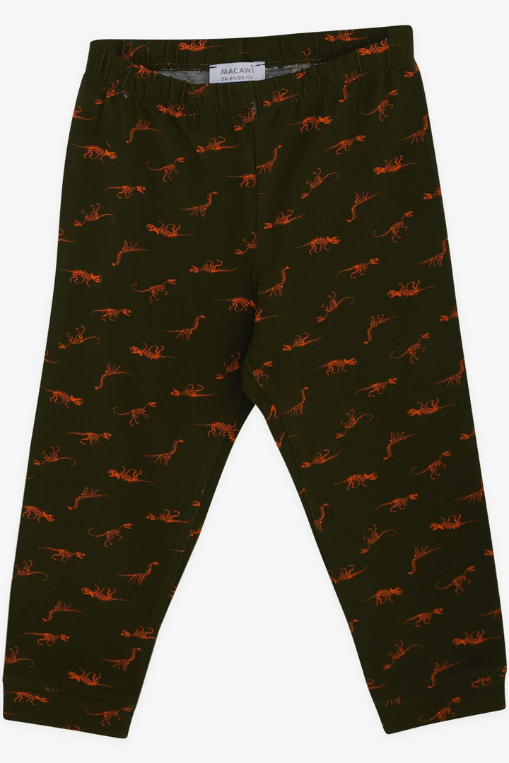 BRE Macaw Boy's Pajama Set with Dinosaur Pattern, 3-7 Years, Dark Green. - La Porte