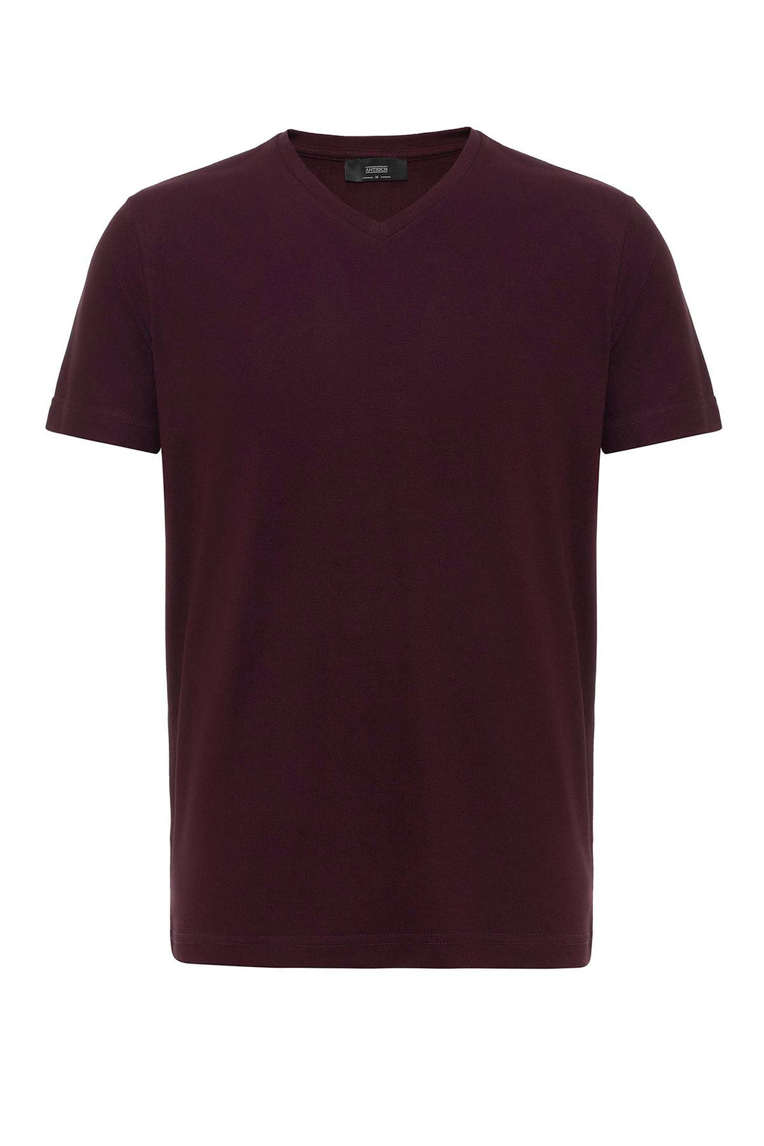 ANT Basic V-Neck Men's T-Shirt - Bridgeport