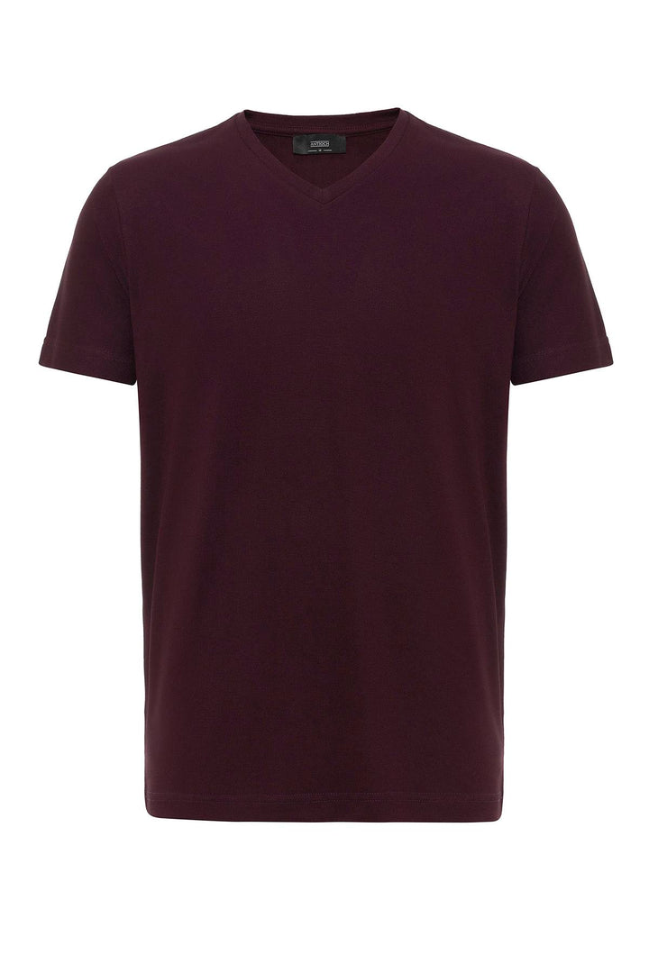 ANT Basic V-Neck Men's T-Shirt - Bridgeport