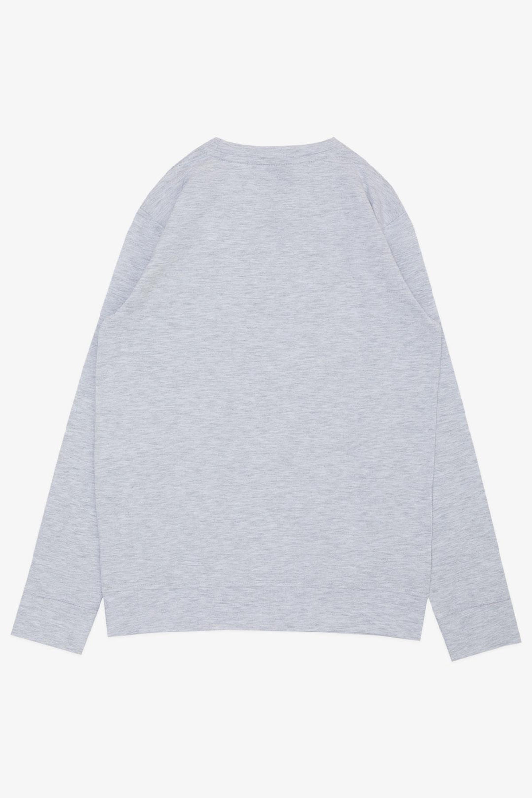 BRE New Points Boys' Long Sleeve T-Shirt Printed with Text 106 Years, Light Grey Melange - Yevpatoriia