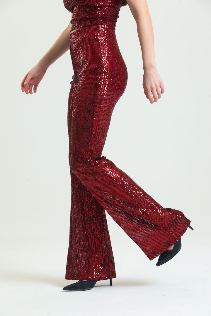 SNS Zara Sequin Pants with Bordeaux Lining and Hidden Zipper - Misterbianco