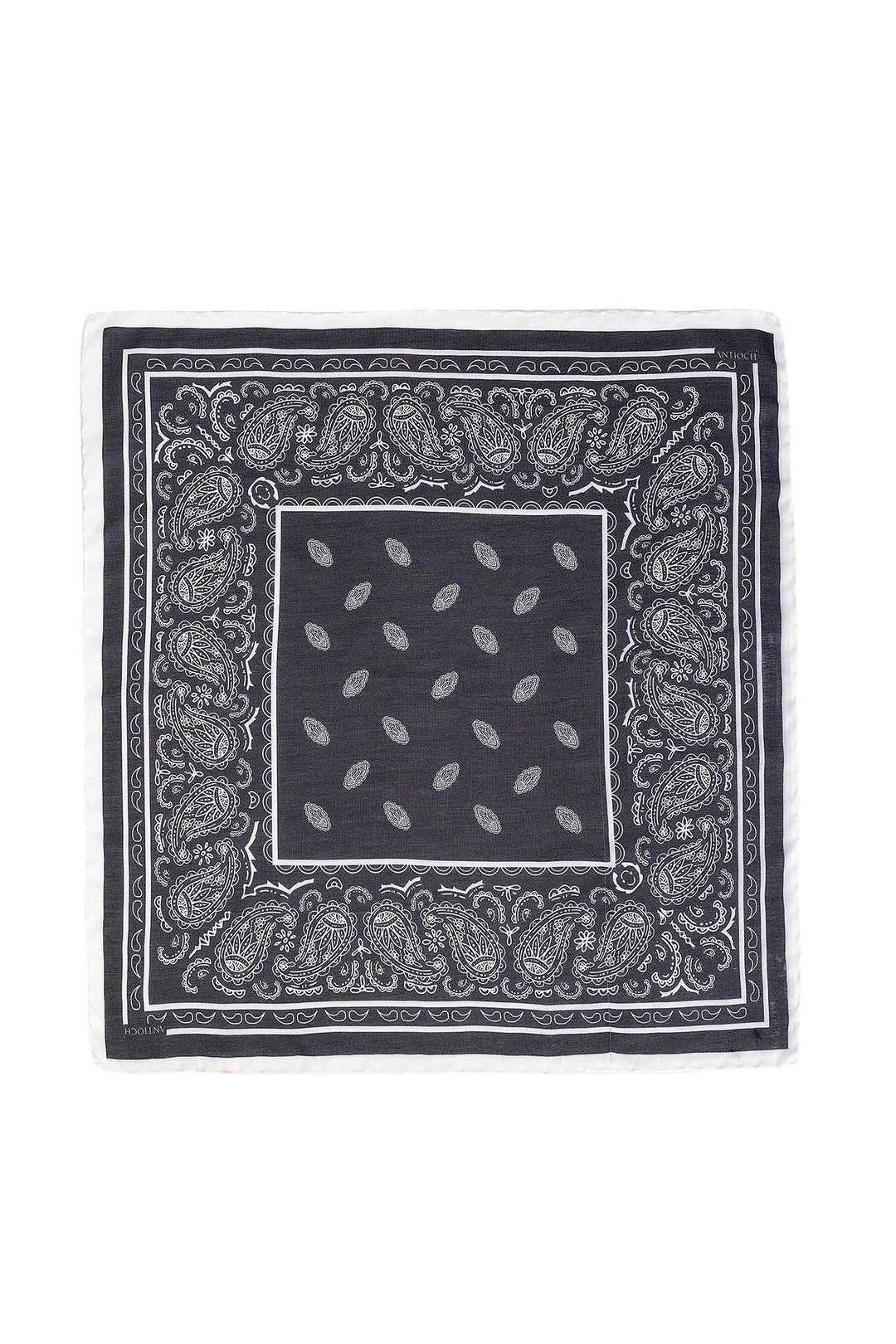 ANT Corner Ethnic Patterned Scarf - Crystal Lake