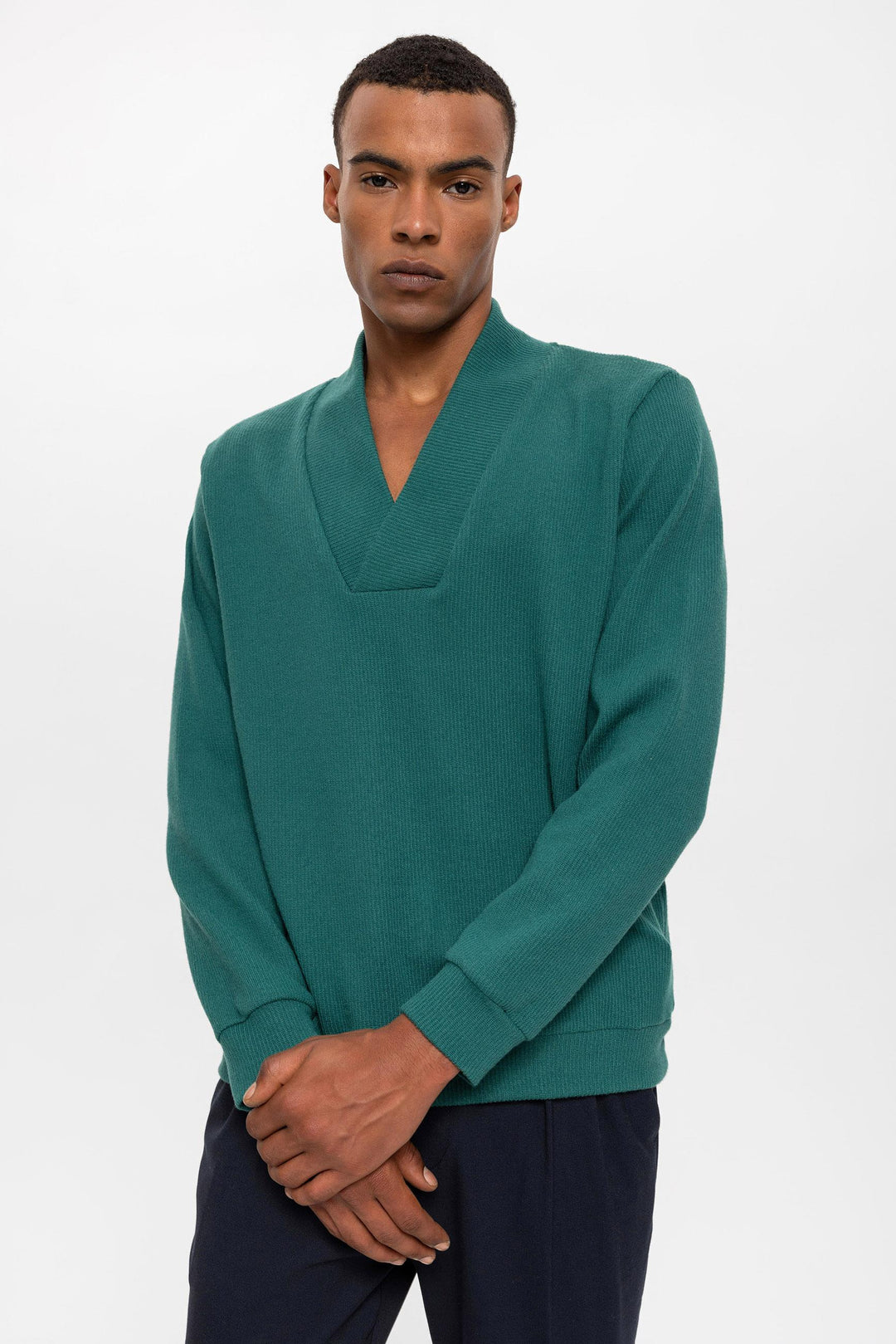 ANT V-Neck Men's Sweater - Plauen