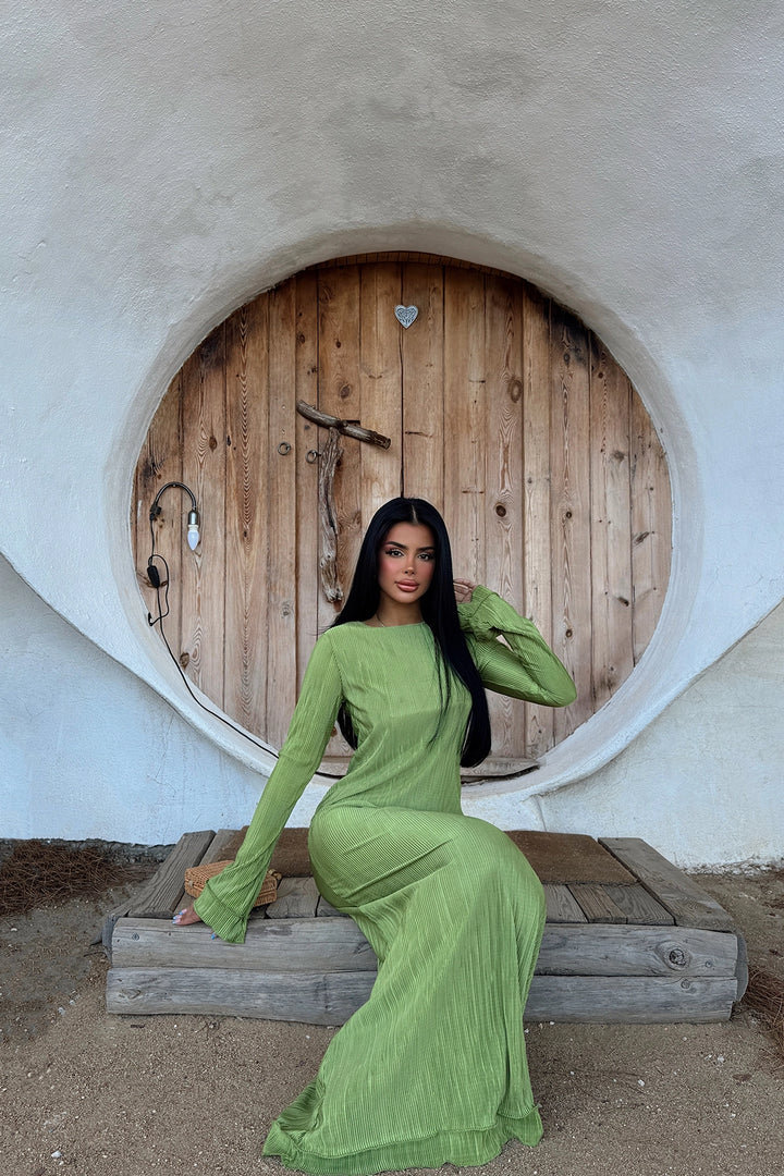 Eyy Women Green Mirela Piliseli Long Dress - North Richland Hills